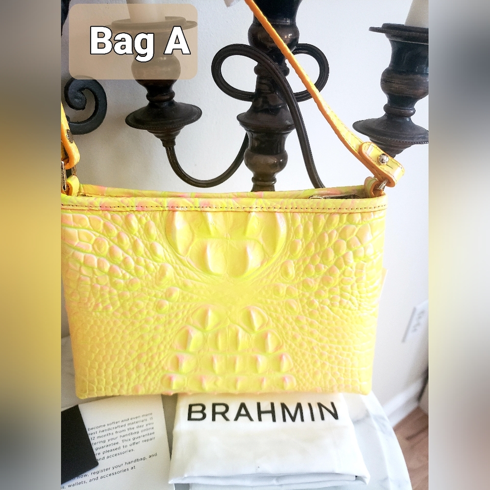 Brahmin - Picture 3 of 7